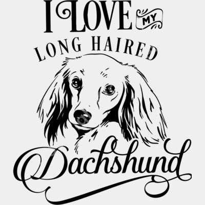 I love my long haired Dachshund Thumbnail