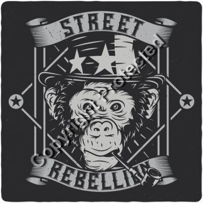 monkey2 set 6 Thumbnail