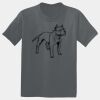 The Concert Tee ® Thumbnail