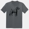 The Concert Tee ® Thumbnail