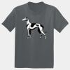 The Concert Tee ® Thumbnail