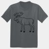 The Concert Tee ® Thumbnail
