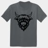 The Concert Tee ® Thumbnail