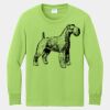 Youth Long Sleeve Core Cotton Tee Thumbnail