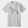 Tall Core Cotton Tee Thumbnail